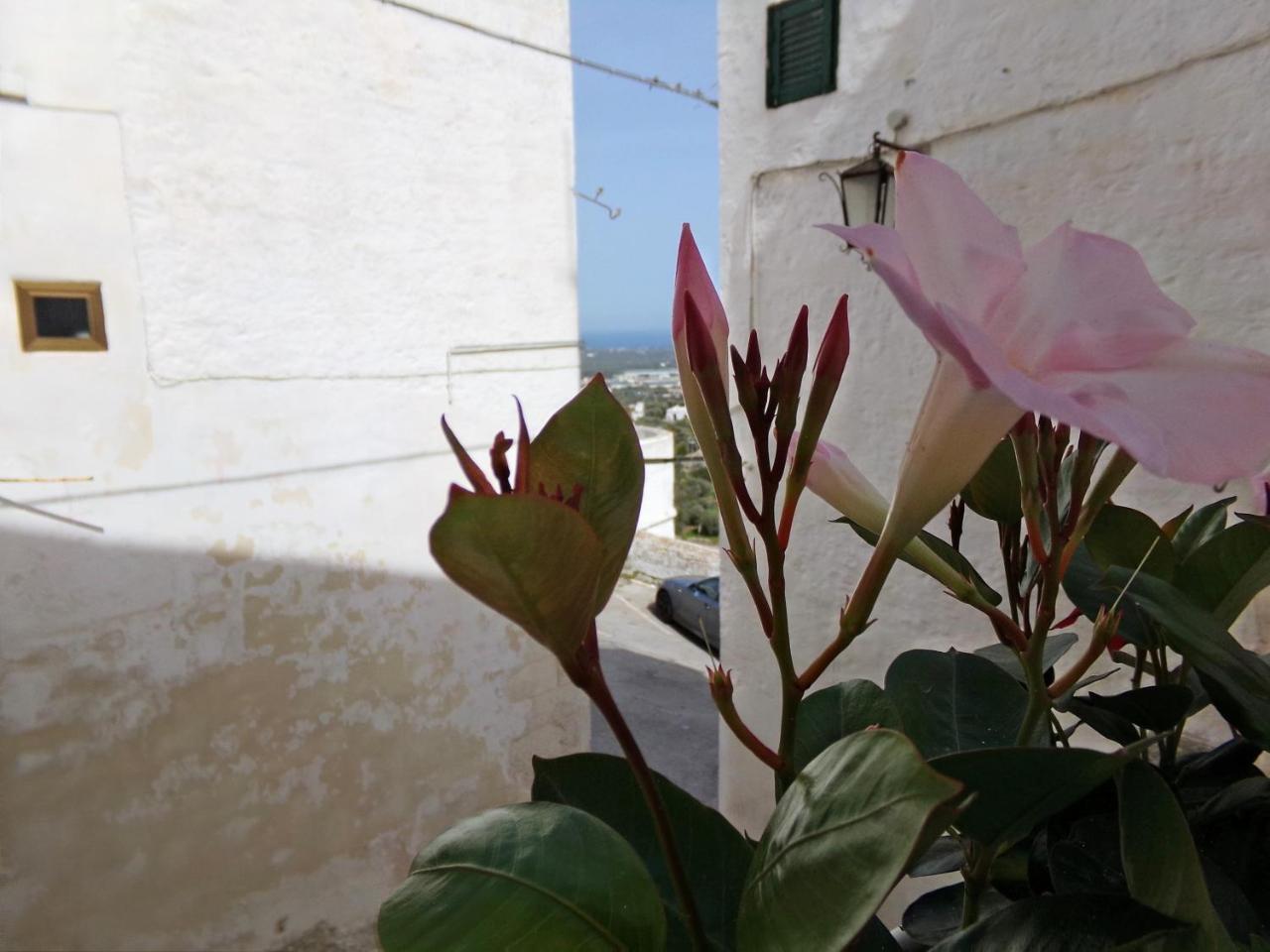 Le Tre Volte Ostuni Exterior photo
